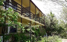 vila catrini